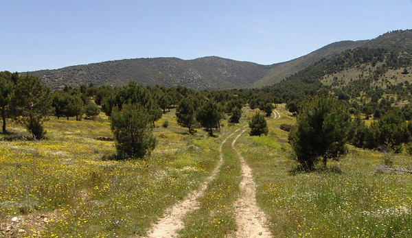 081_Camino1Aluenda.w